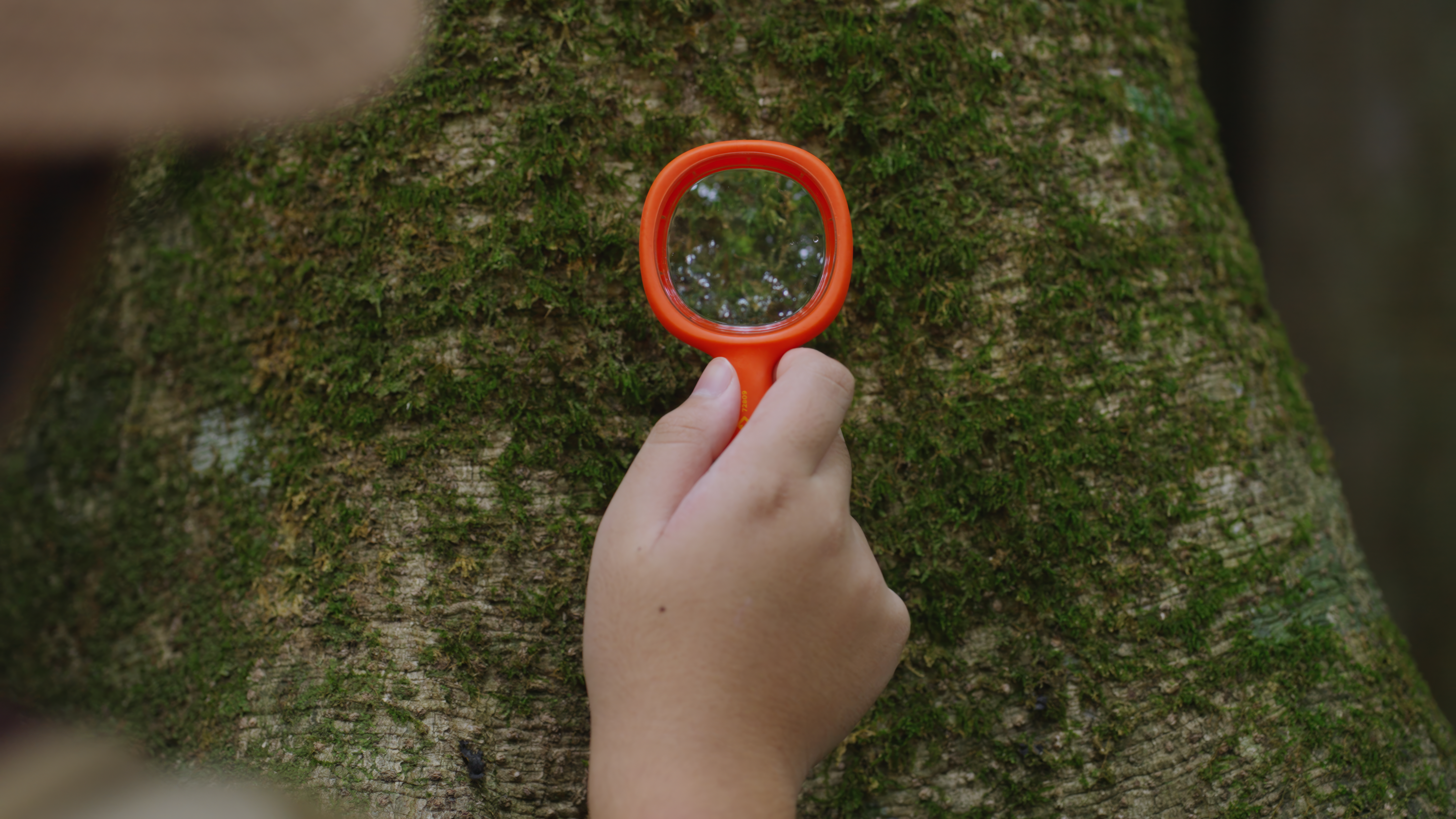 Magnifying glass revealing hidden detail — examining your brand's AI presence